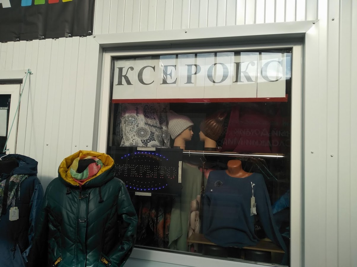 Выгодны ли сейчас копировальные услуги? Рассказываю, сколько я ...