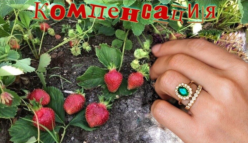 коллаж автора 