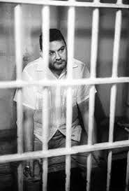 Фердинанд (Фото из Соцсети)