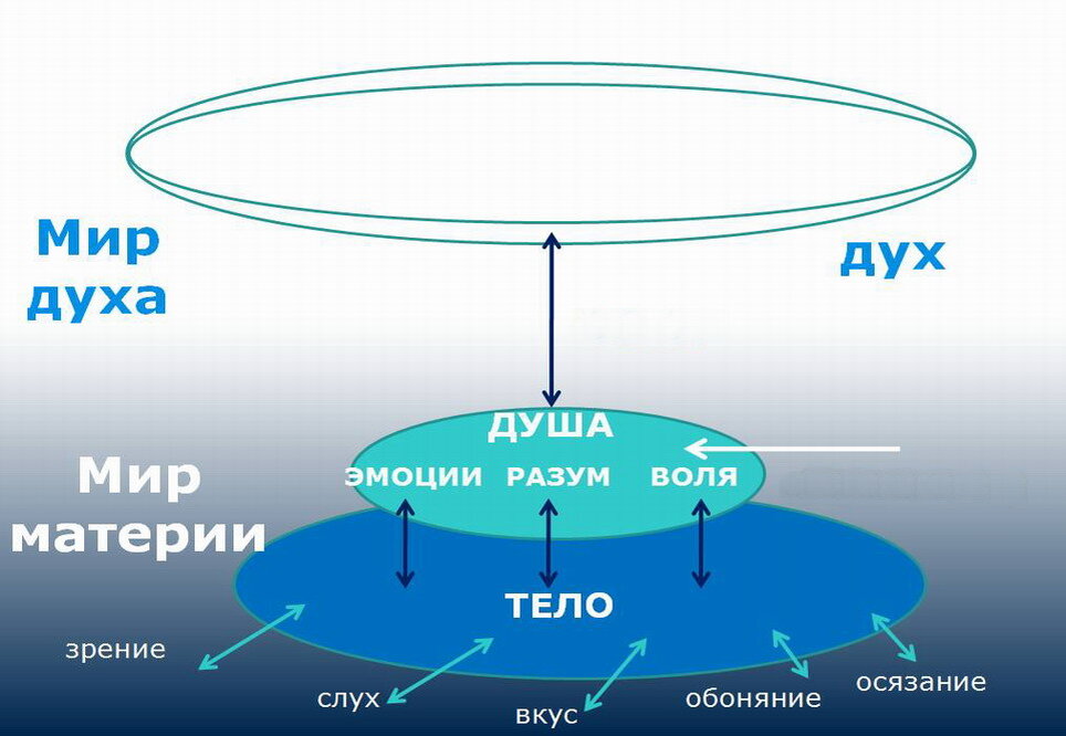 Общепринятые представления об этом вопросе...