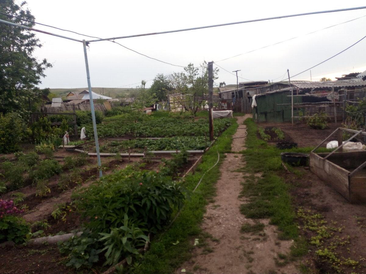 Из личных архивов