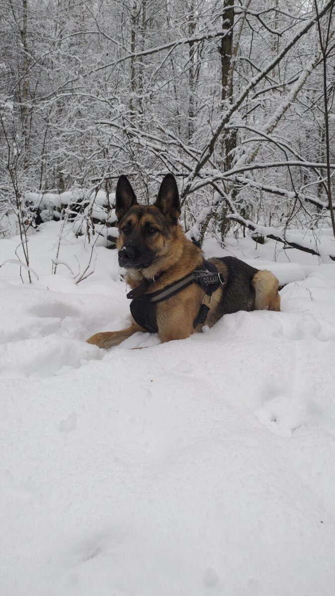 Выжидаю подружку в засаде👀