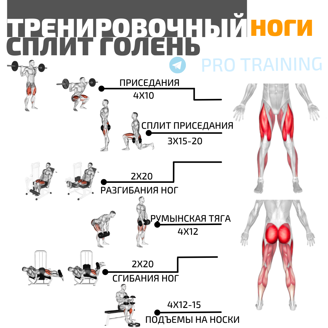 Тренировочный сплит для набора мышечной массы. Подробная программа  тренировок | Томаш Игорь | Pro Training | Дзен