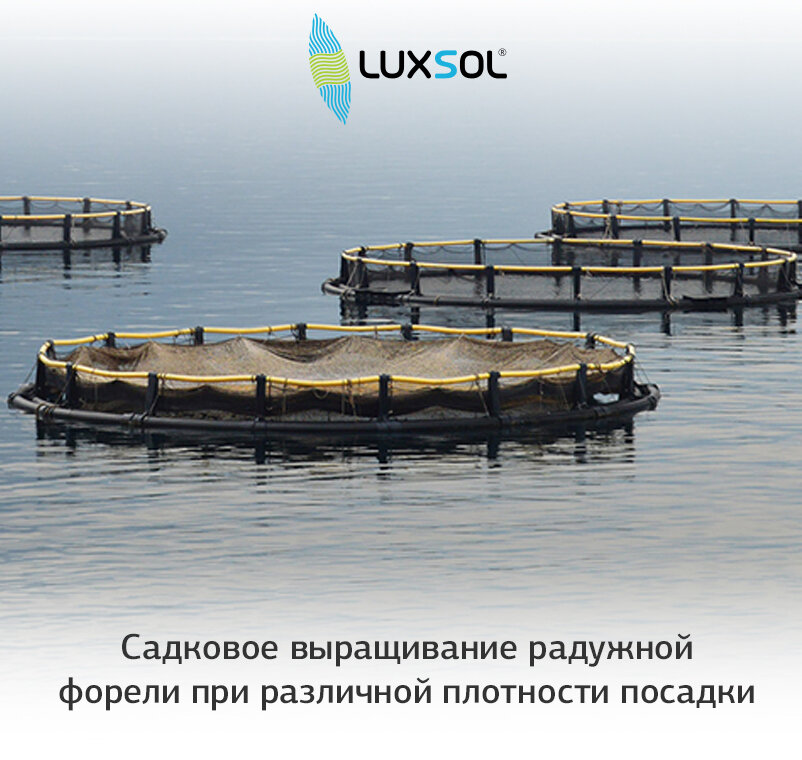 Садковое выращивание радужной форели при различной плотности посадки