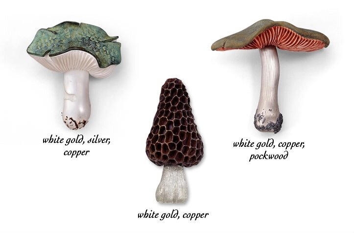 ���������  Mushrooms (�����).
