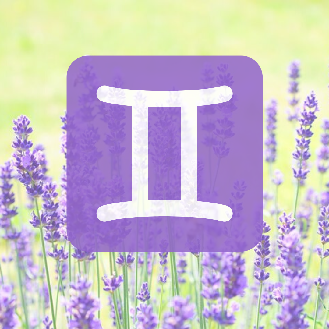 яндекс-картинки