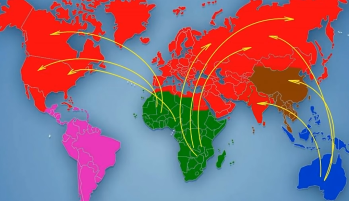 Изображение взято из открытого источника 