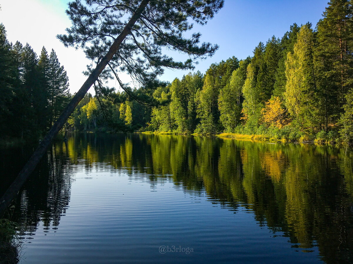 Широха озеро меленковский район фото