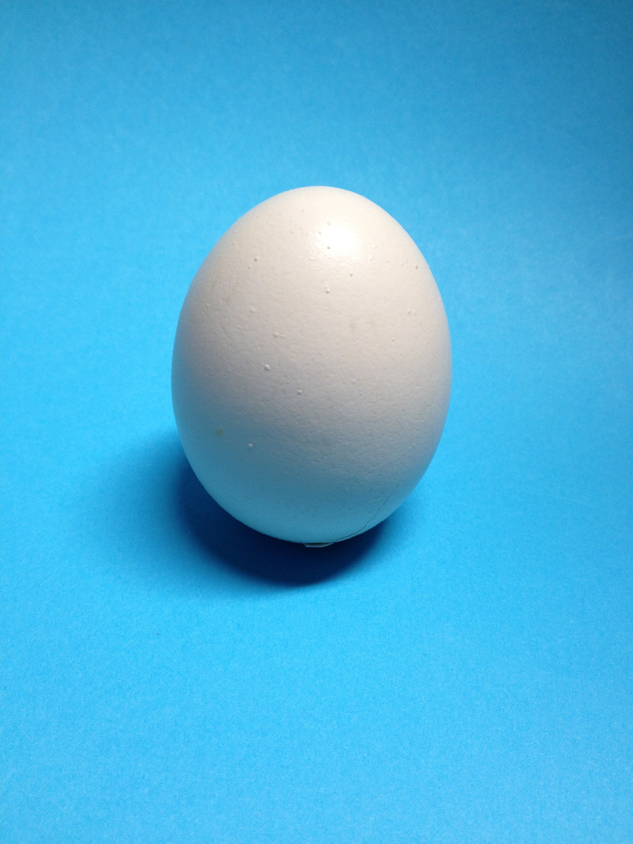 Eggs