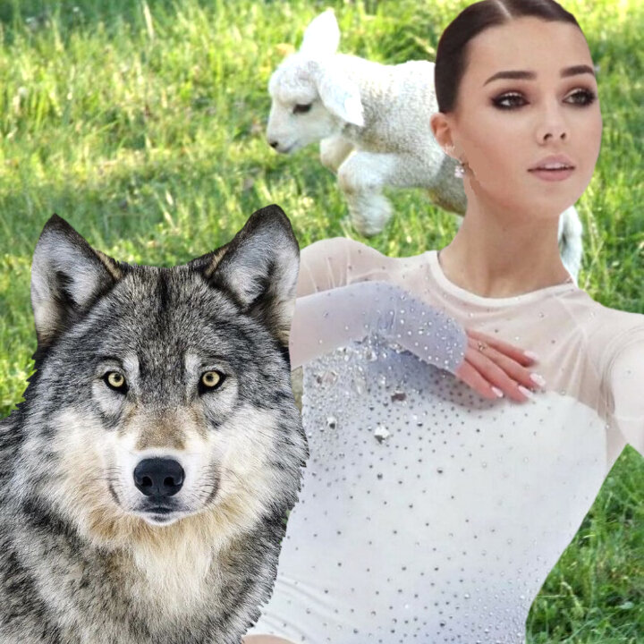 Использованы фотографии из открытых источников. У бессильного всегда сильный виноват или наоборот