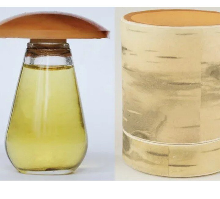 Духи Rudens (Осень)от Дзинтарс. Флакон выполнен в форме гриба. 