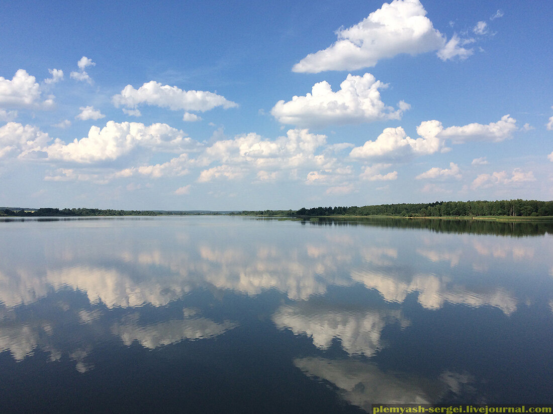 БЕЛАРУСЬ. ВИЛЕЙСКОЕ ВОДОХРАНИЛИЩЕ. Купили бы вы себе здесь домик в деревне?  | ДвижЖИЗНЬ | Дзен