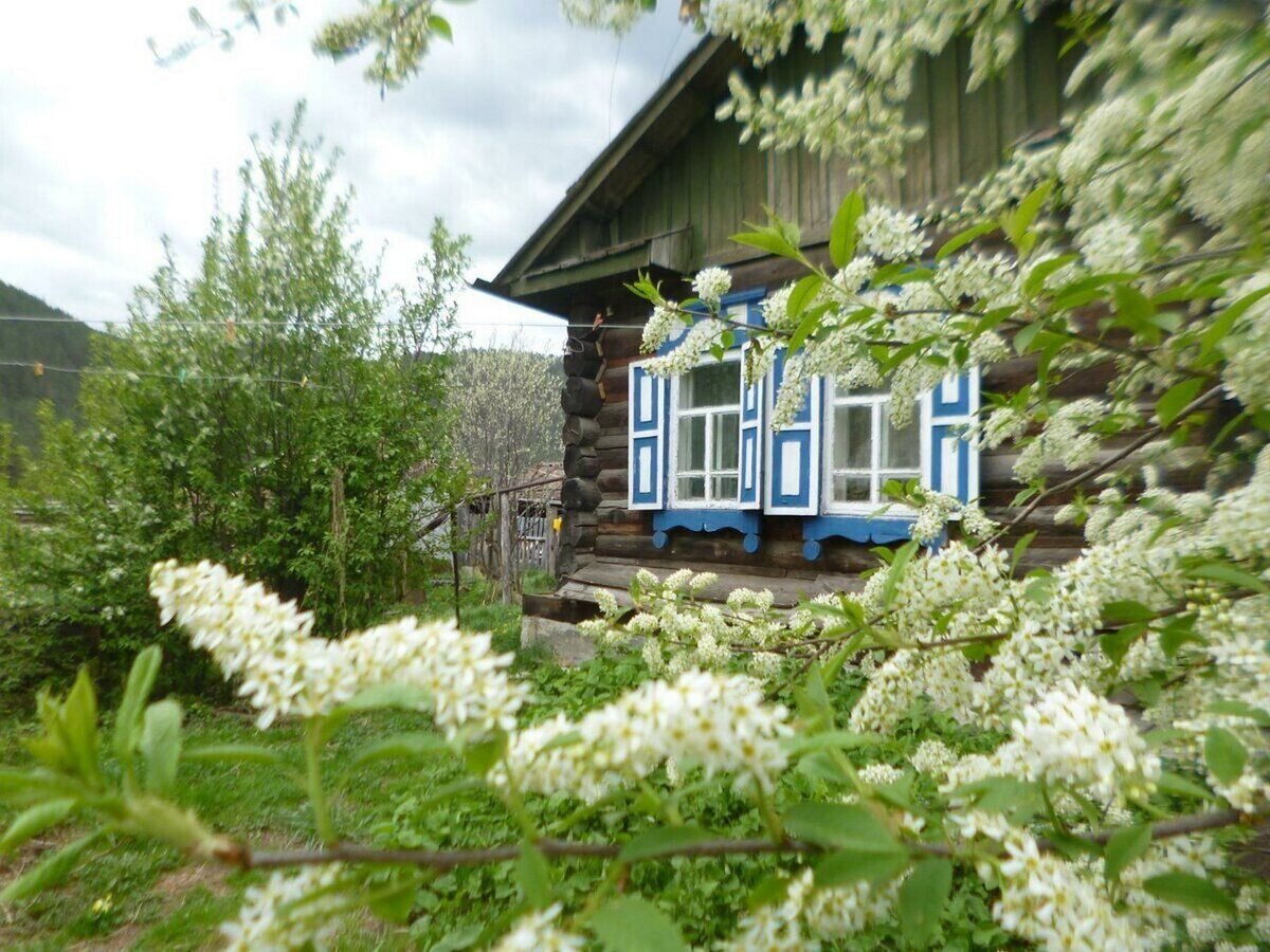 Майский сад сирень черёмуха