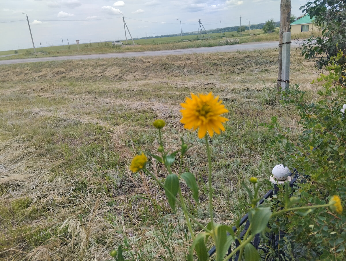 (Фото автора) 