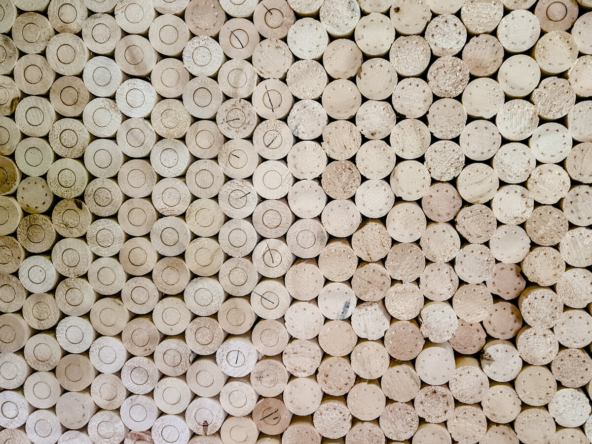 Заготовки дерева (фото автора)