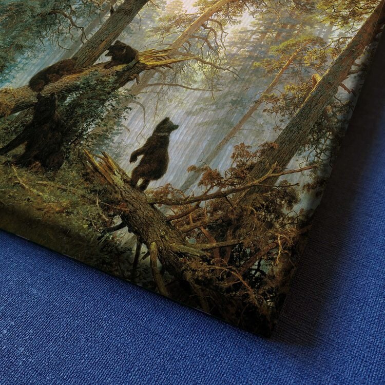 Источник: redpandashop.ru 