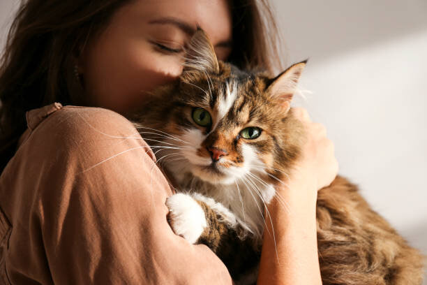 фото сайт istockphoto.com
