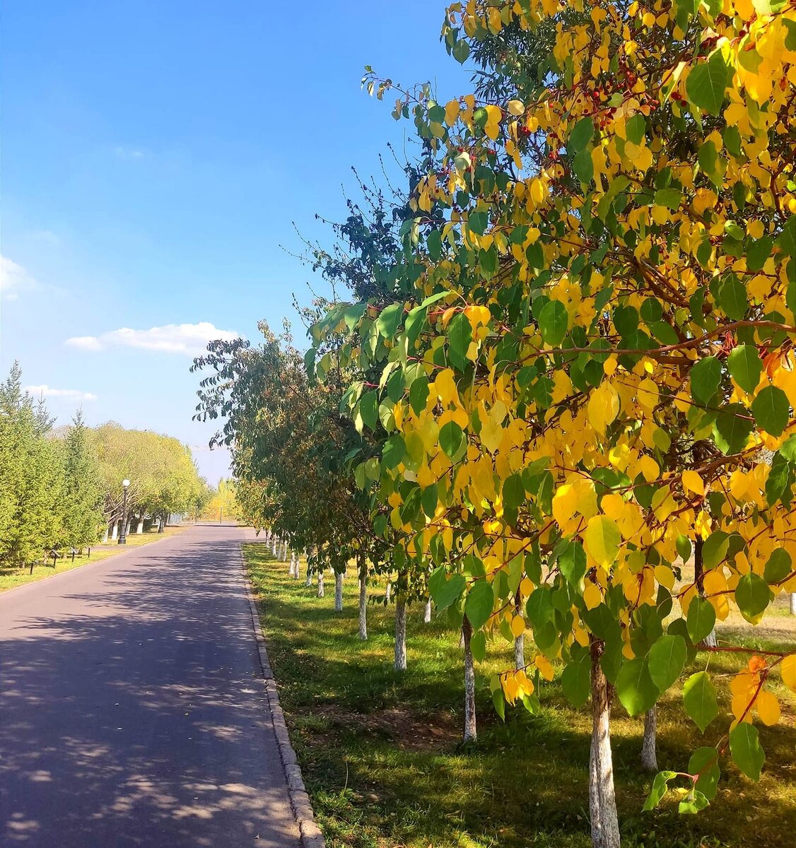 Осень радует и новостями, и красотой. Наш парк.