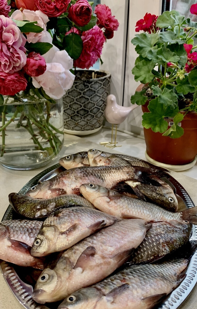 Фото автора. Речная рыба.