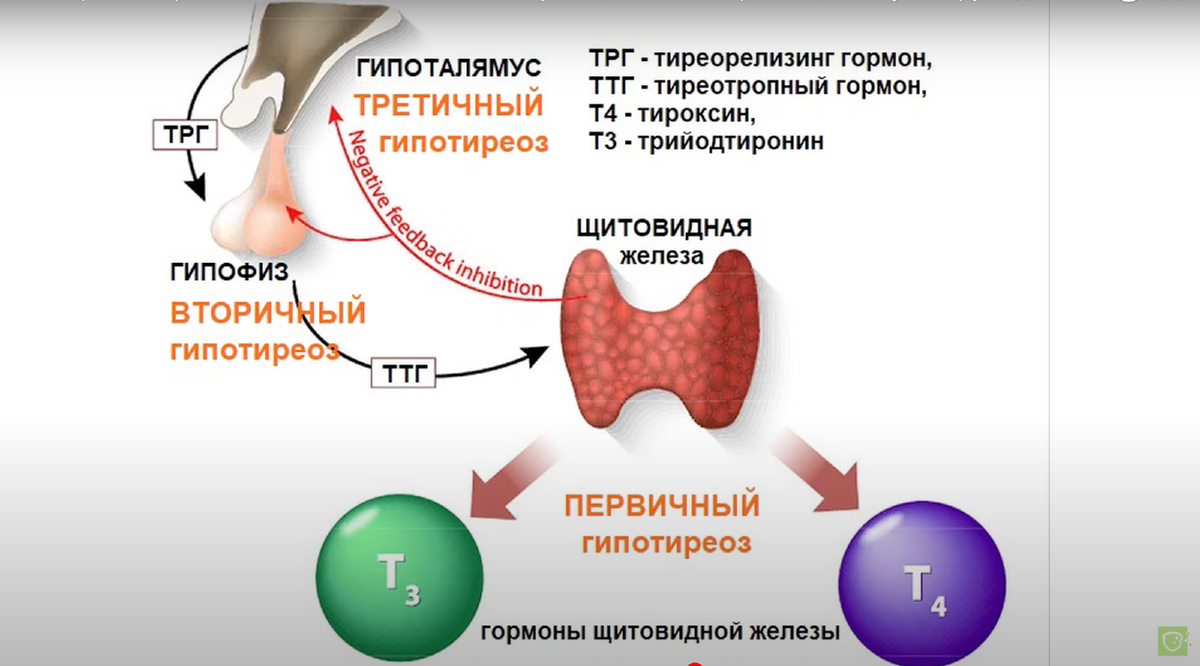 Кадр из фильма 