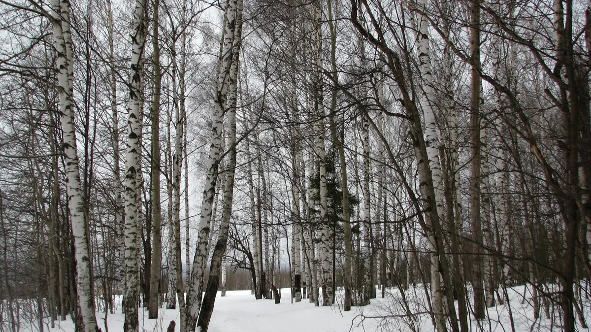 На сегодняшний день прогноз погоды сделан до середины ноября. Фото: Pxfuel.com