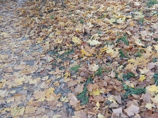     фото: объединенная редакция