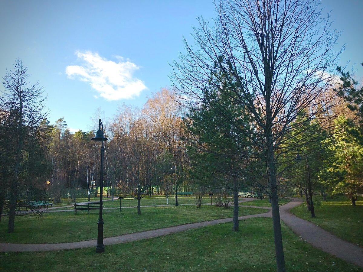 Вот они какие, зазимки на сквере Пастернака 