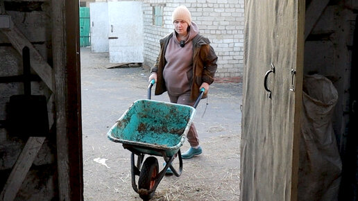 БЕРЕМЕННАЯ🤰 НА ХОЗЯЙСТВЕ. ПРИЕХАЛА ПРОВЕРКА