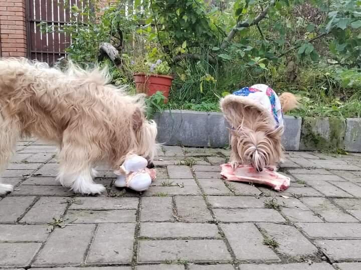 Кхс из Альфа Лаваль фото Тани Туктамышевой