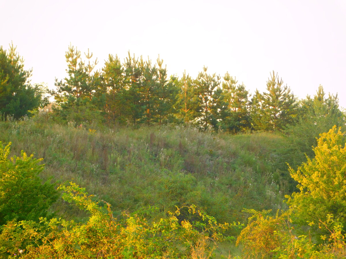 Фото автора канала