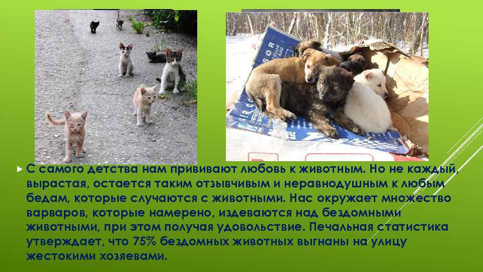 1 милосердие не должно быть устаревшим понятием: найдено 72 картинок