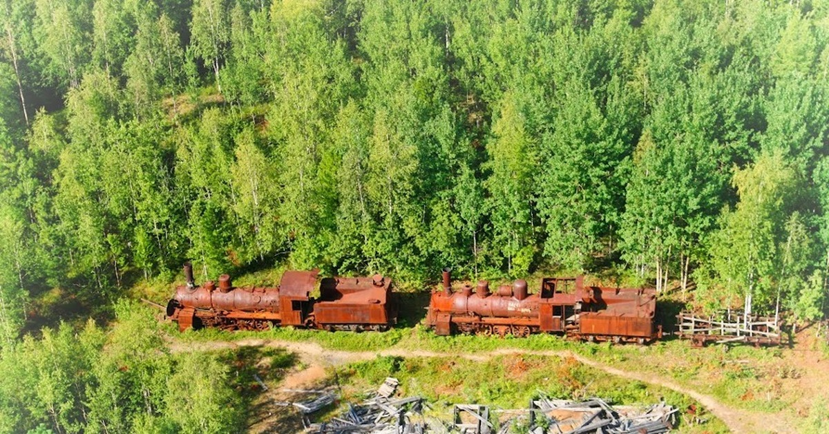 Фото с сайта polzam.ru
