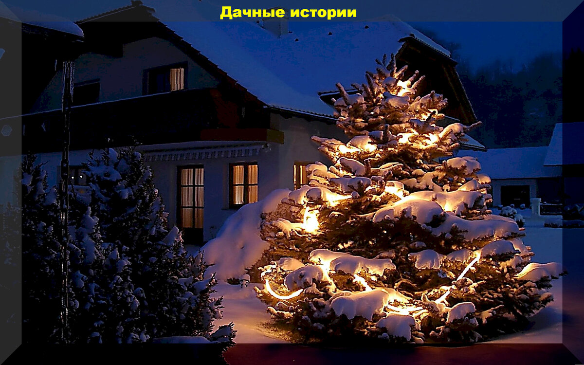 https://vk.com/photo-159774511_457257345