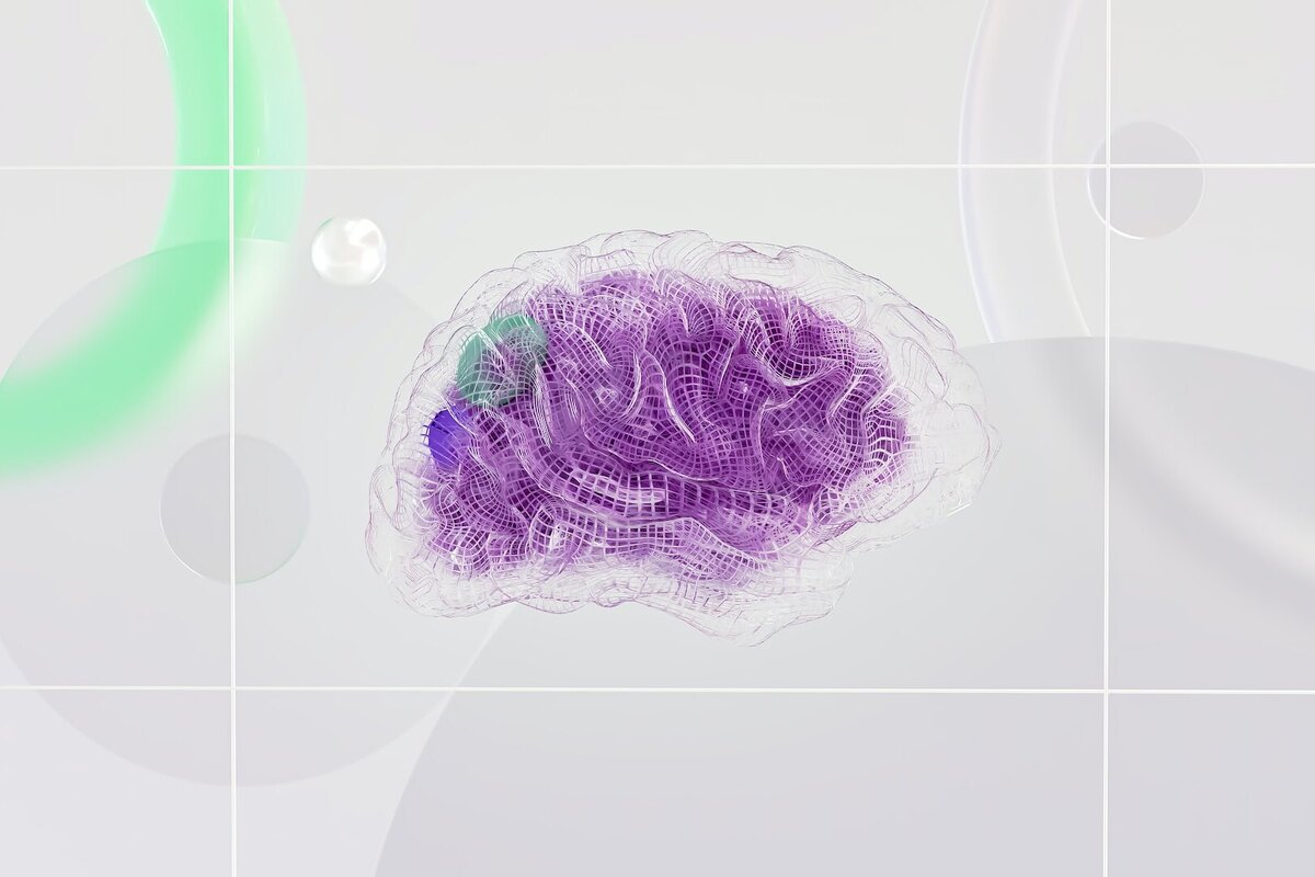     Исследование: человеческий мозг в 10 раз проще сжать, чем пенопласт