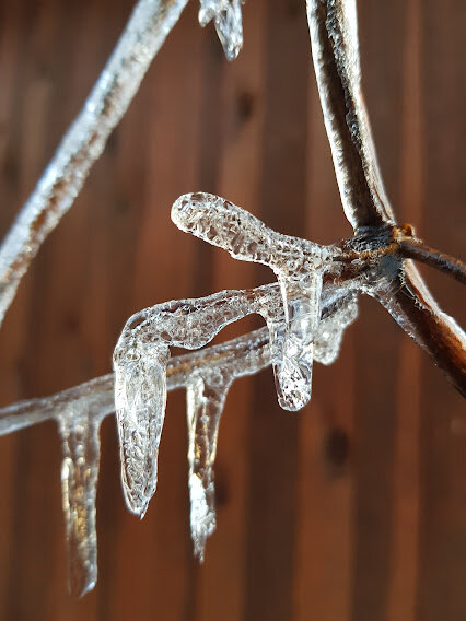 Мне очень нравится снимать природу. Прошло пять лет, а кадр с нами. Не чудо ли?