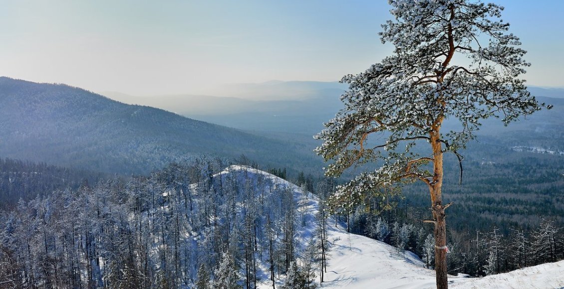    Фото из открытого источника