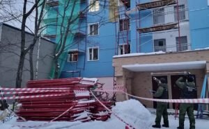    Фото: ГСУ СК России по Московской област Наталья Анисеева