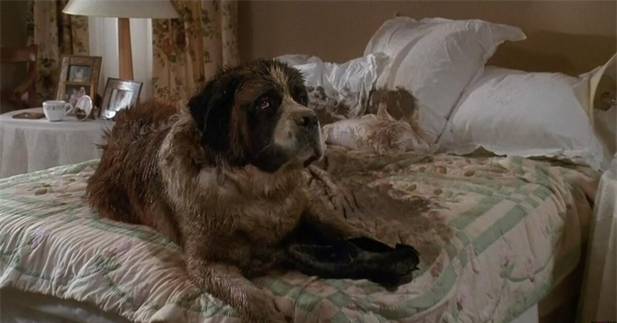 Моя Пита выглядела сегодня не лучше. 