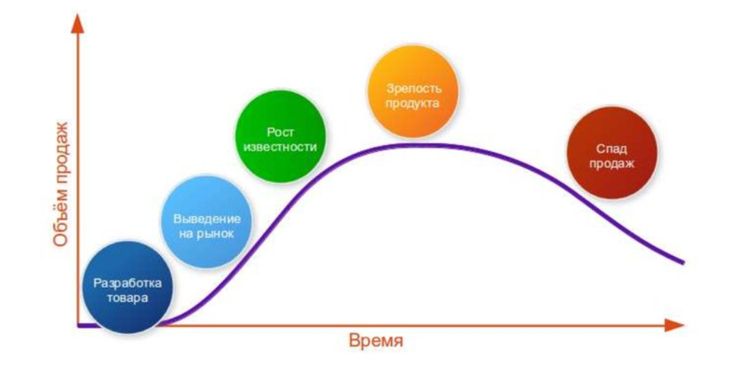 Этапы товара. Жизненный цикл продукта в маркетинге. График жизненного цикла продукта. Фазы жизненного цикла товара в маркетинге. Этапы жизненного цикла продукта.