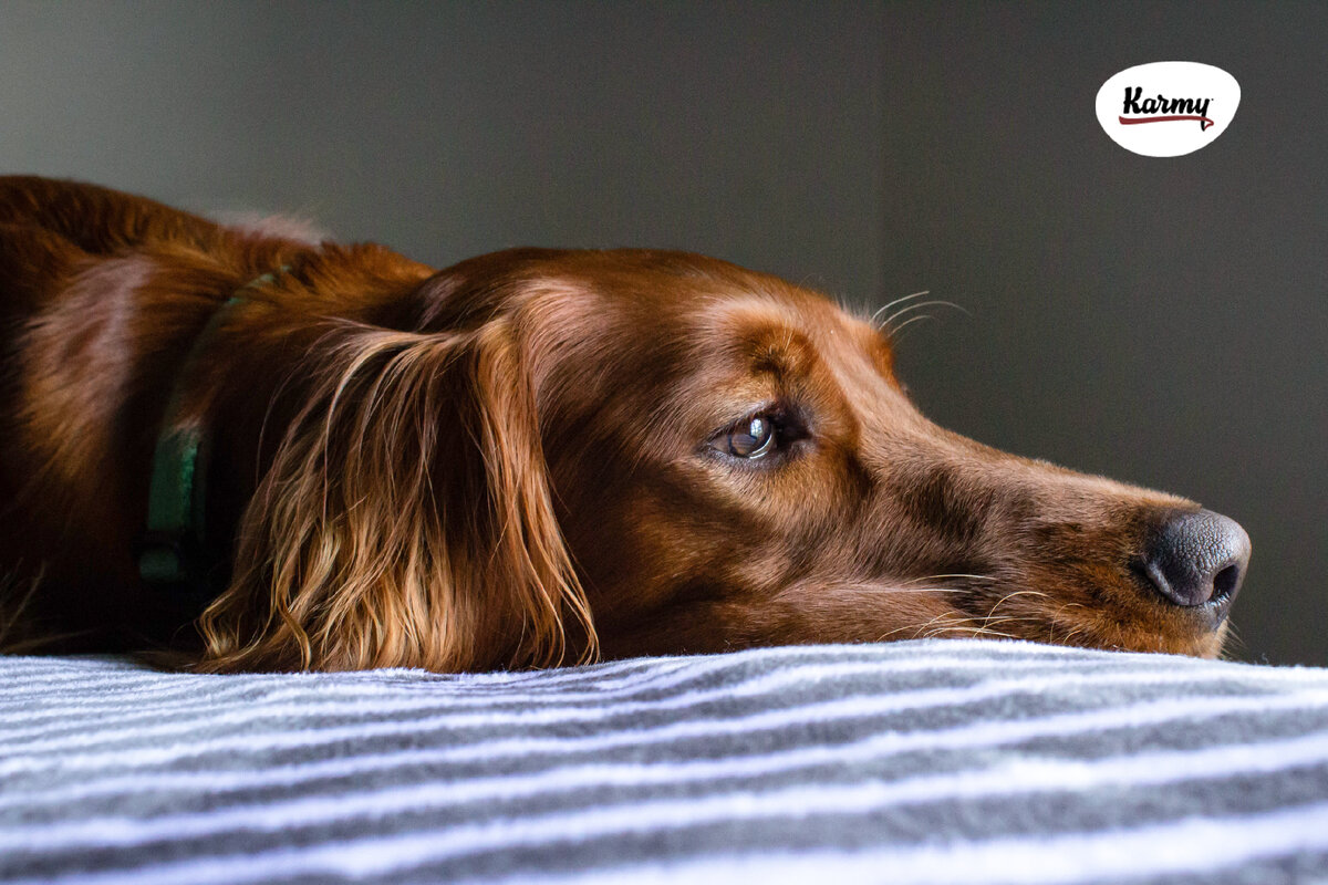 Авторское изображение с использованием картинки с фотостока "Unsplash"