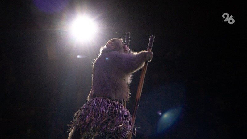 цирк ставрополь 2021. ставрополь цирковое представление. цирк ставрополь. новокузнецкий государственный цирк. ставропольский цирк афиша.