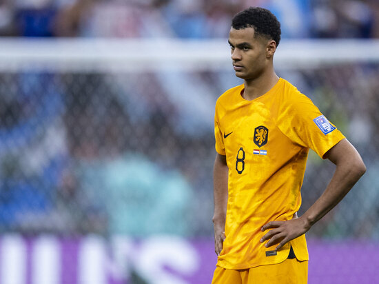     Коди Гакпо. Фото: Tom Weller/dpa/globallookpress.com