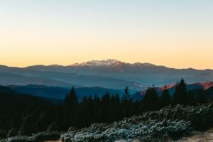    Фото: Daniel Eliashevsky / Pexels.com Константин Бухтатов