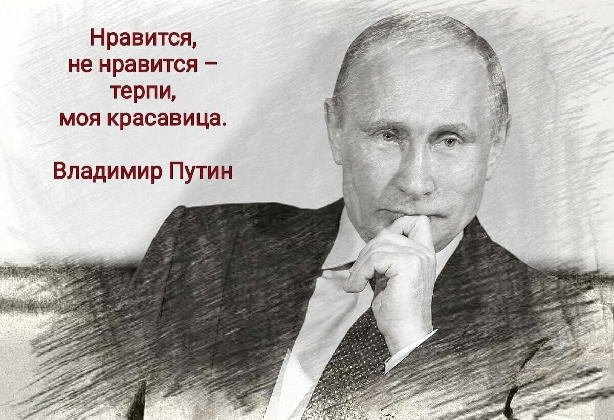 Красавица чего не нравится текст. Нравится не Нравится терпи моя красавица.