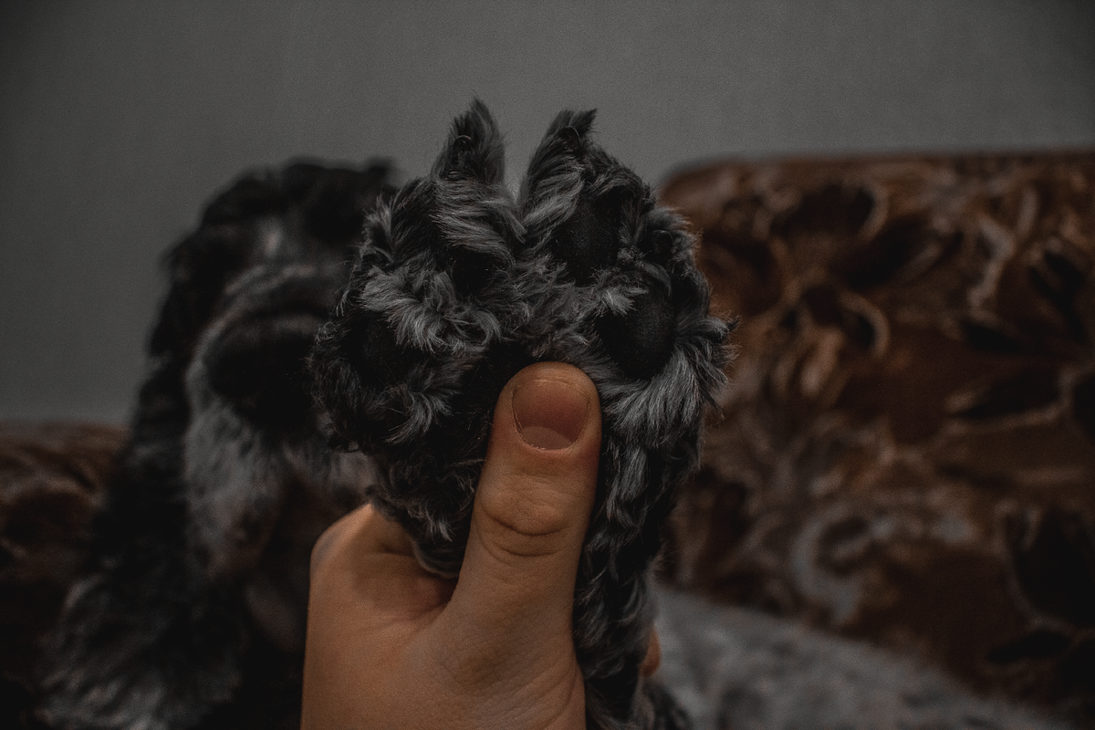 Фоточка на canon 600d с объективом 18-55 Добавьте описание

