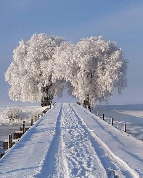 Красота зимы!