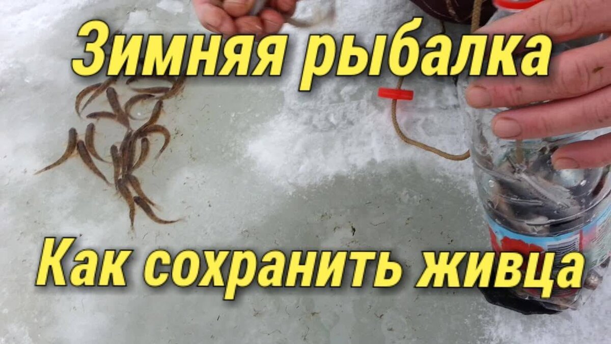 Фото с сайта: https://gruzarf.ru