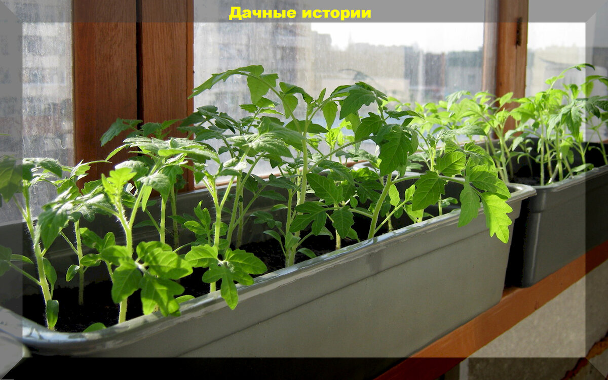 https://vk.com/photo-159774511_457257734