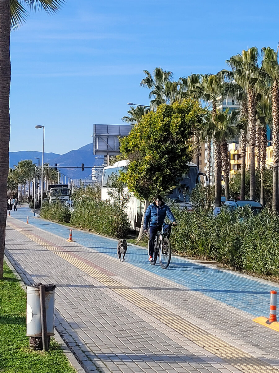 Фото автора.