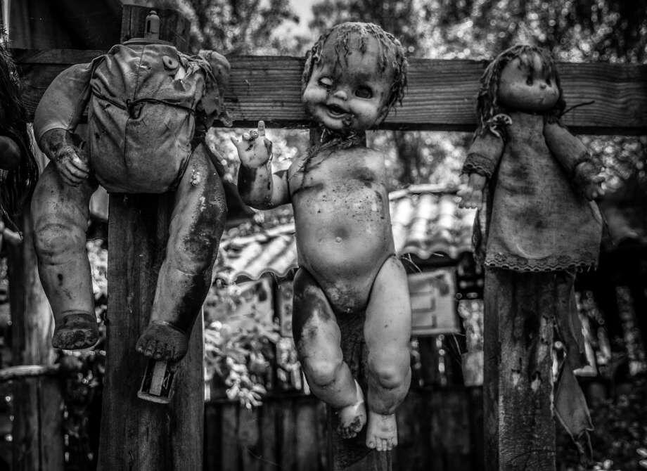 фото взято из открытого источника